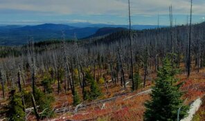 Gold Miner Targets Big Gains in British Columbia