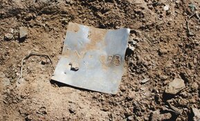 High-Grade Copper and Gold Strike Extends Spanish Deposit 90 Meters