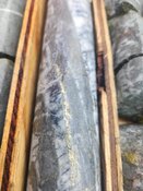 First Drill Results from Gold Asset Boast Bonanza Grades