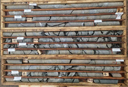 Step-Out Drill Hole Helps Reveal 'Multi-Kilometer Gold System'