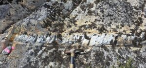 High-Grade Gold Discovery Takes Center Stage at January's Biggest Mining Conferences