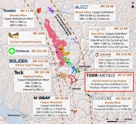 Explorer Finds Promising Copper-Gold Porphyry in Quesnel Terrane