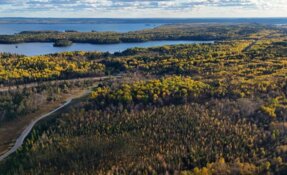 Gold Hits Keep Coming as Zone 4 Delivers Deep, High-Grade Results