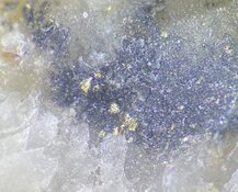 Mining Company Uncovers Nevada Gold Breakthrough