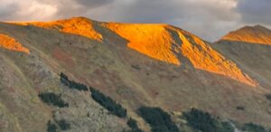 Copper, Gold, and Silver Grades Stand Out Across Multiple Zones in British Columbia Discovery