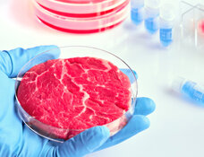 Cell Firm Joins With Food Co. to Create Meat Substitute 