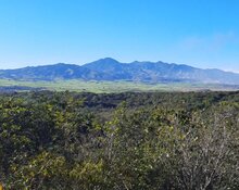 Sierra Madre Gold and Silver Advances With Del Toro Silver Mine Acquisition