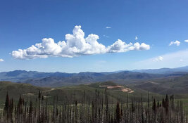 Gold Explorer Finds Excellent Mineralization at Nevada Target