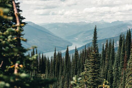 Mineral Explorer Identifies Three Tungsten-Copper Drill Targets in Washington