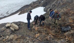 Golden Triangle Gold Discovery Now Fully Controlled as High-Grade System Expands