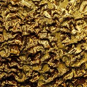 Mining Co. Recovers First Placer Gold, Starts Drilling