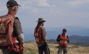 Junior Miner Uncovers 78m of High-Grade Gold in Toodoggone