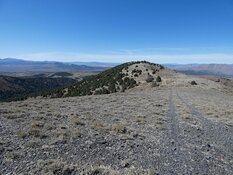 Gold Explorer Targets High-Grade Nevada Breakthrough