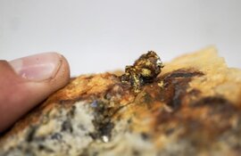 Gold Explorer Achieves Breakthrough Results in BC's Golden Triangle