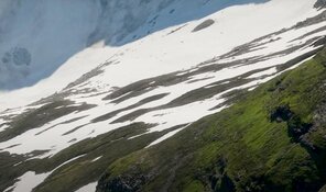 Junior Miner Hits 11 g/t Gold as Surebet Discovery Expands